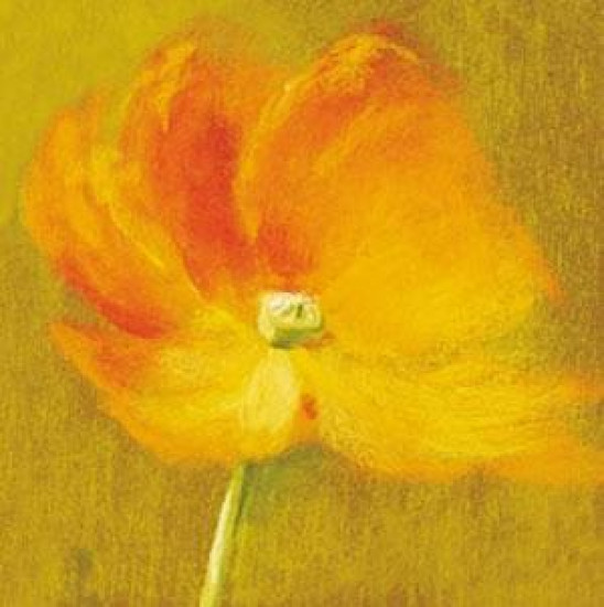 Slice Of Life - Poppy - With slip Slice Of Life - Poppy - With slip