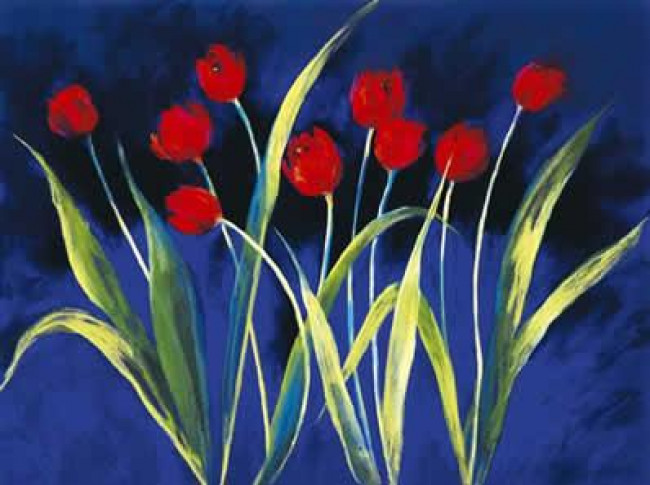 Tulipa - Mounted Tulipa - Mounted
