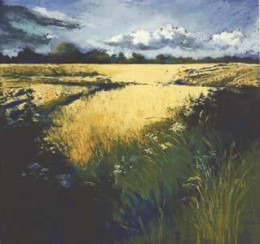 In Golden fields - Mounted