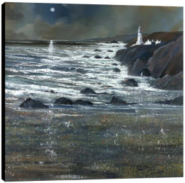 Moonlit Shore - Box Canvas