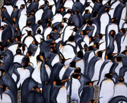 Penguins In The Crowd - Mounted