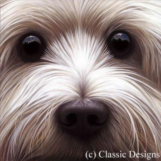 Larger Than Life - Westie ('Berkley') - Paper