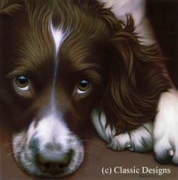 Larger Than Life - Springer Spaniel II - Paper - Print