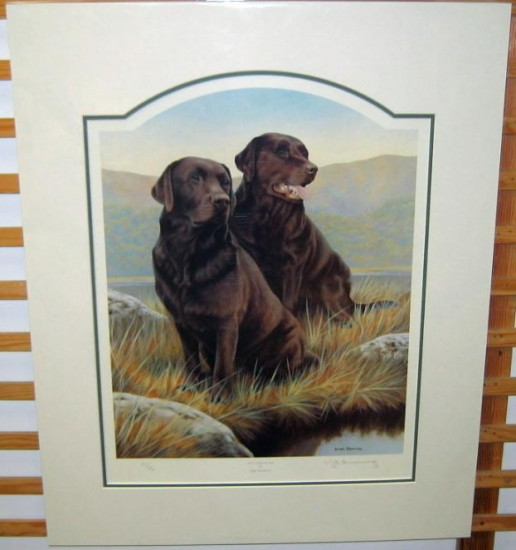 Hot Chocolate (Chocolate Labradors) Hot Chocolate (Chocolate Labradors)