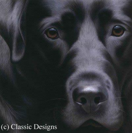 Larger Than Life - Black Labrador II - Paper