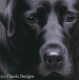 Larger Than Life - Black Labrador II - Canvas - Box Canvas
