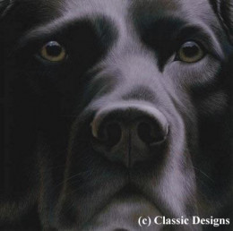Larger Than Life - Black Labrador I - Canvas - Box Canvas