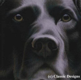 Larger Than Life - Black Labrador I - Canvas - Box Canvas