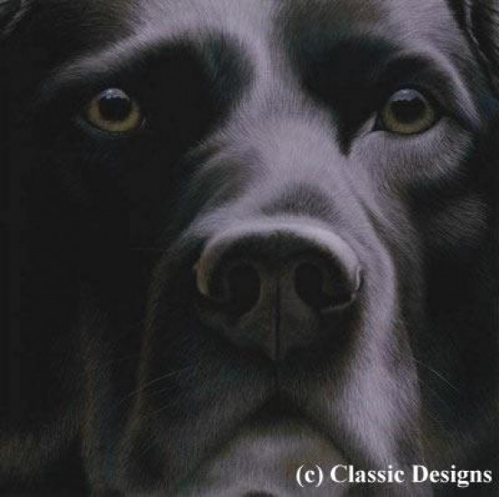 Larger Than Life - Black Labrador I - Canvas