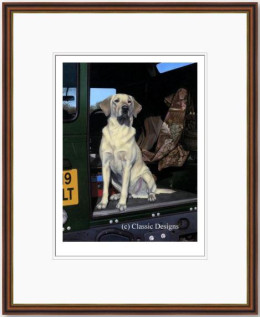 Yellow Cab - Dark Wood Framed