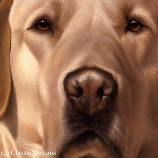 Larger Than Life - Yellow Labrador - Canvas
