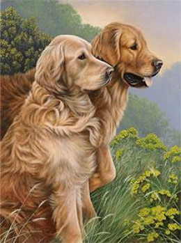 Good As Gold (Special 25 Worldwide) - Print