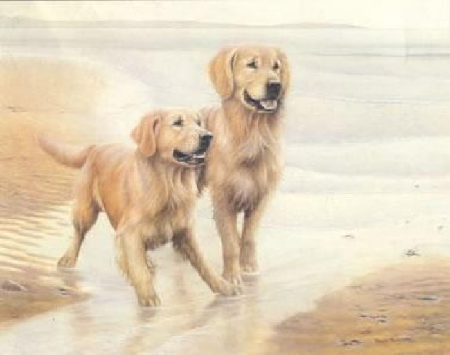 Golden Sands - Mounted Golden Sands - Mounted