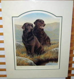 Hot Chocolate - Chocolate Labradors - Mounted