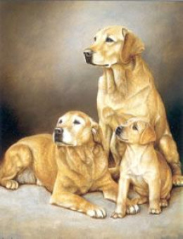 Generations - Yellow Labradors - Print