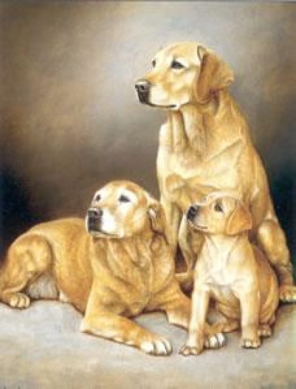 Generations - Yellow Labradors - Print Generations - Yellow Labradors - Print