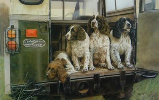 Four By Four - Springer Spaniels