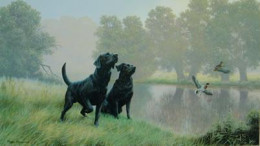 Watersports - Black Labradors - Mounted