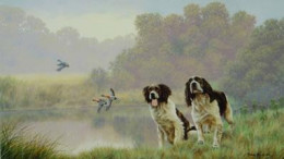 Watersports - Springer Spaniels - Mounted