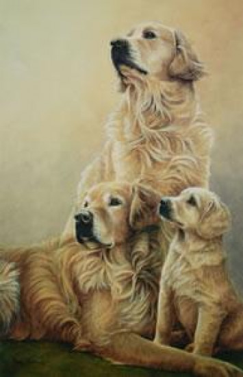 Generations - Golden Retrievers - Mounted