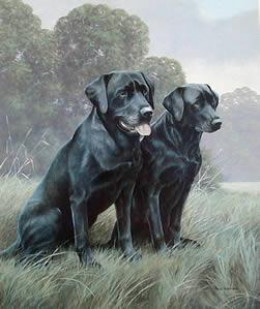 Black Labradors - Mounted