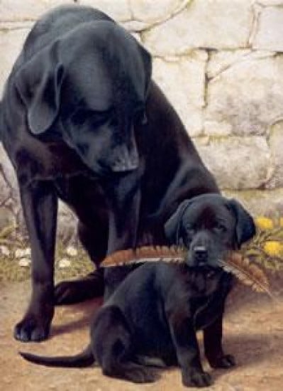 Like Father Like Son - Mounted Like Father Like Son - Mounted