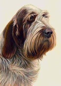 Just Dogs - Brown Roan Italian Spinone - Dark Wood Framed