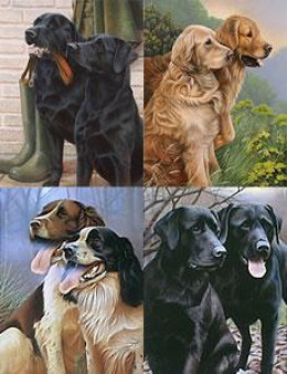 All 4 Collector Editions Gun Dogs - Print