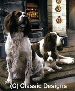 Spring Range - Springer Spaniels - Print