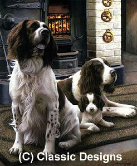 Spring Range - Springer Spaniels