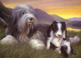 Shepherds Delight NHE - Print