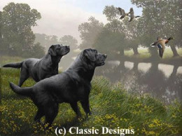 Bank Raiders - Black Labradors - Dark Wood Framed
