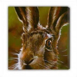 Hare (Canvas) - Box Canvas