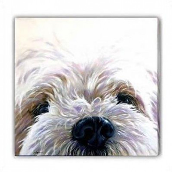 Westie (Canvas) - West Highland Terrier - Box Canvas Westie (Canvas) - West Highland Terrier - Box Canvas