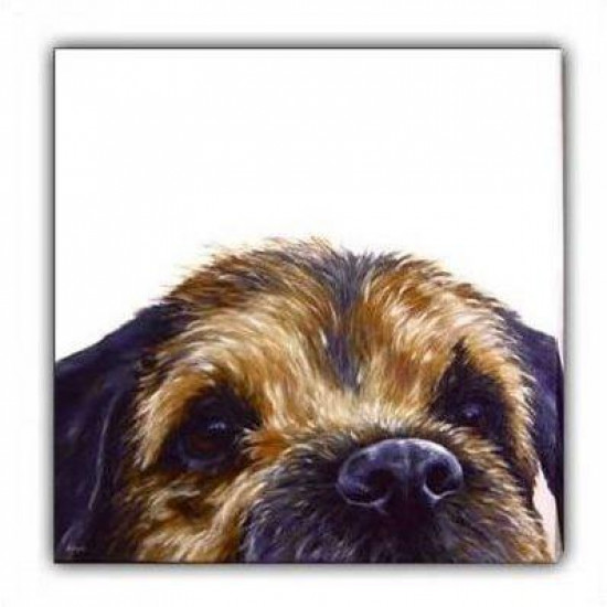 Border (Canvas) - Border Terrier