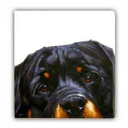 Rottie (Canvas) - Rottweiler - Box Canvas