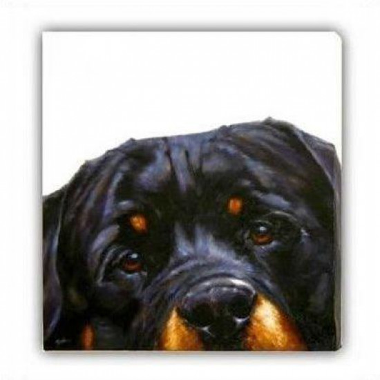 Rottie (Canvas) - Rottweiler - Box Canvas Rottie (Canvas) - Rottweiler - Box Canvas