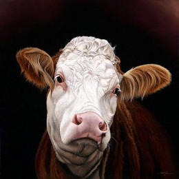 Madge - Pedigree Simmental Cow - Mounted