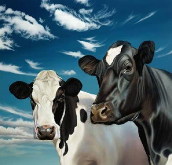 Trinny And Suzannah - Cows - Mounted Trinny And Suzannah - Cows - Mounted