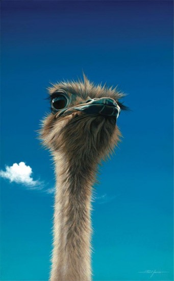 Germaine Germaine