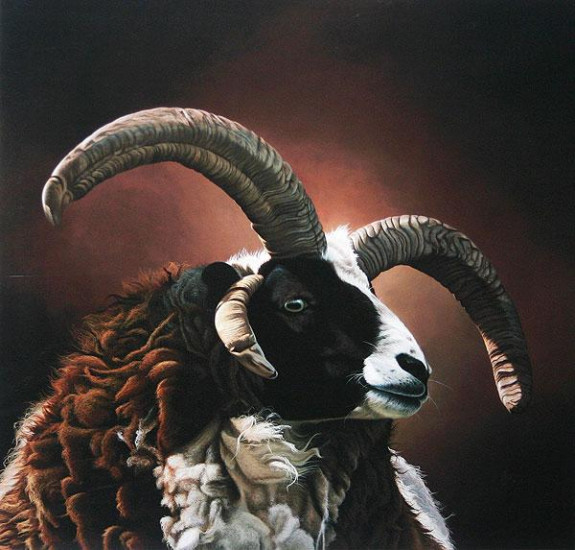 Ozzy - Jacobs Ram - Mounted