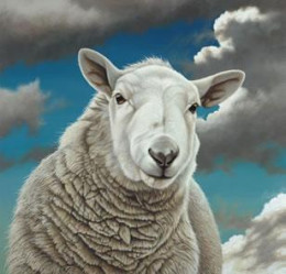 Barbara - Sheep - Mounted