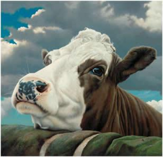 Adrian - Cows