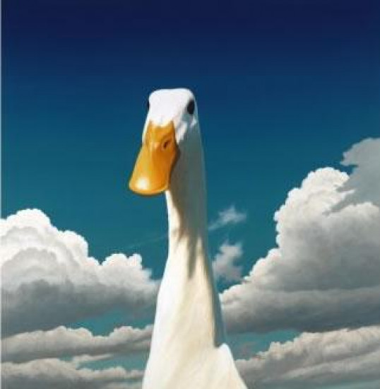 Bill - Duck - Mounted Bill - Duck - Mounted