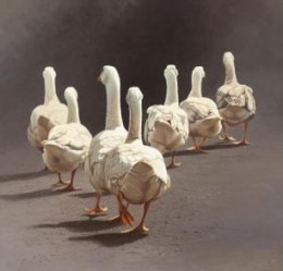 The Magnificent Seven - Ducks - Mounted
