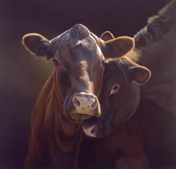 Love - Cow