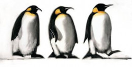 We Three Kings - Penguins - Mounted