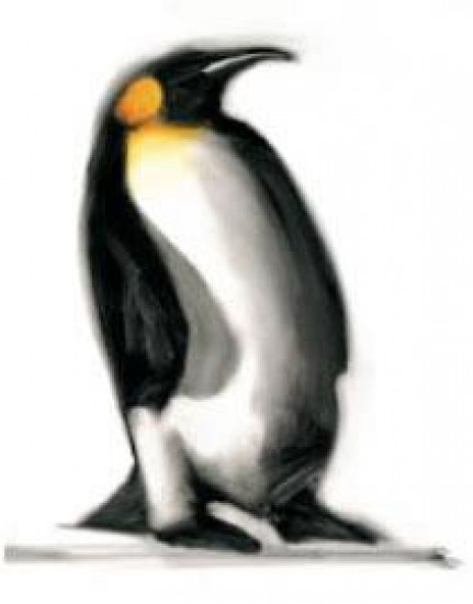 The Emperor - Penguins - Mounted The Emperor - Penguins - Mounted
