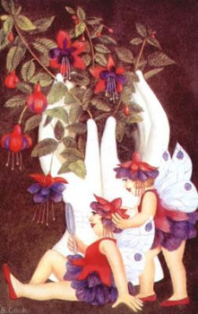 Fuchsia Fairies - Mounted