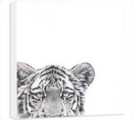 Laying Low - Tiger - Box Canvas